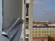 Odstraszanie gołębi, ochrona przed gołębiami