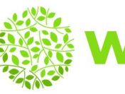 Copywriting Dietetyczny Online FOODWEB.pl