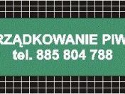 Sprzątanie piwnic, garaży strychów, gratowisko, wywóz Poznań okolice