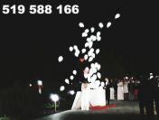 Balony ledowe z helem led hel balony led z helem balon