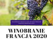 Winobranie Francja 2020