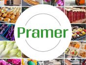 Produkcja artykułów higienicznych  - praca w Holandii