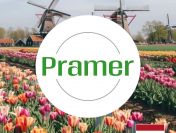 Pracownik magazynu - order picker - jedna zmiana - praca w Holandii