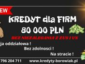 KREDYT DLA FIRM DO 80 000 PLN NA UPROSZCZONYCH ZASADACH! BEZ ZUS I US!