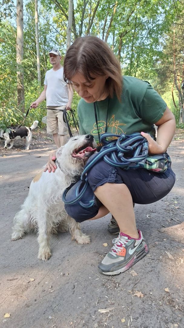 Nero - wyjątkowy pies szuka kochającego domu!  - Obraz nr 6