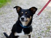 Natka - mała wojowniczka o wielkim sercu!