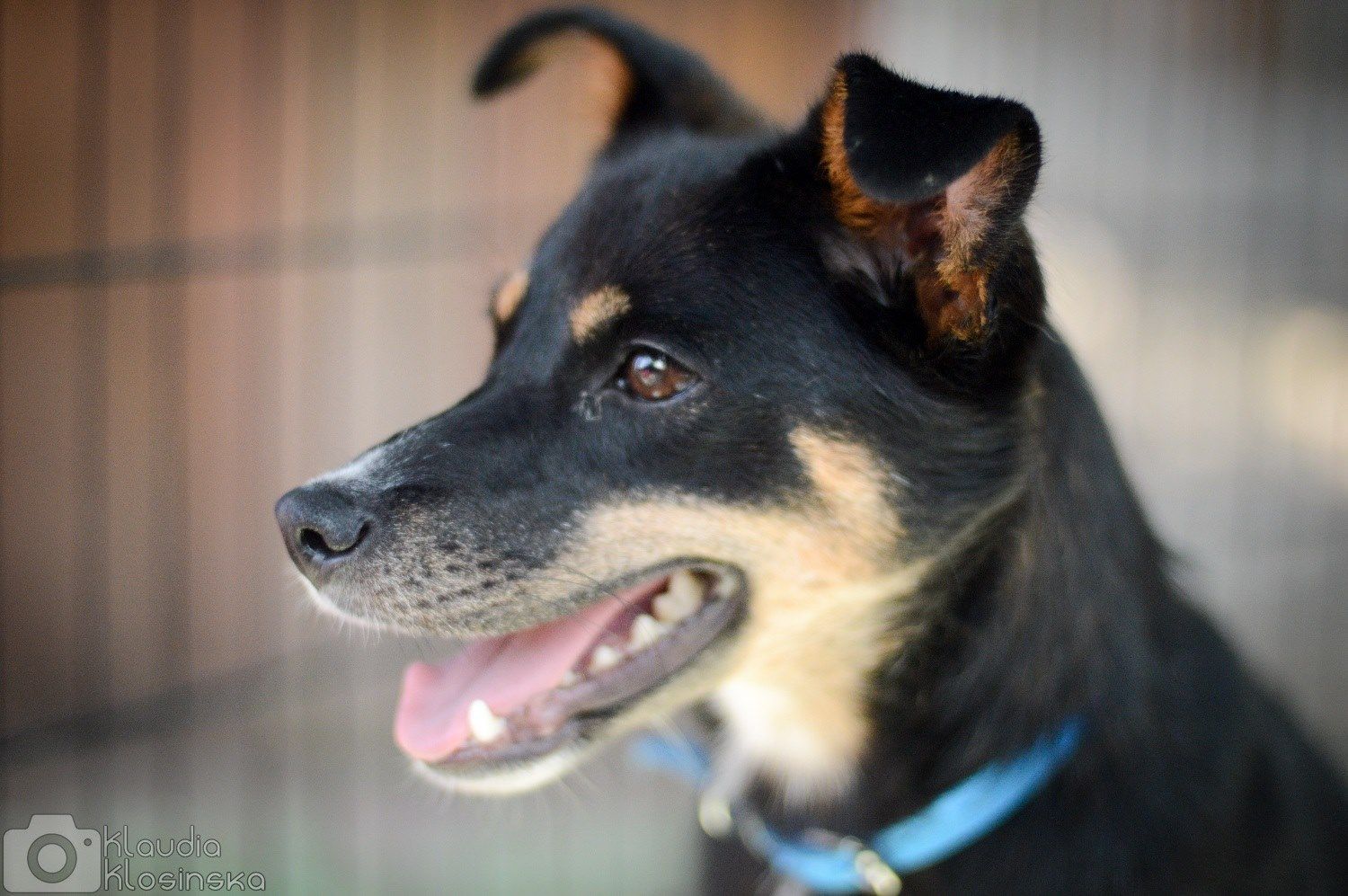 Natka - mała wojowniczka o wielkim sercu!  - Obraz nr 3