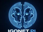 Strona WWW dla Firm (Wielkopolska) | Buduję Portfolio - Duży Rabat