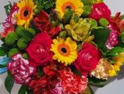 Praca w Holandii przy kwiatach - akcja WALENTYNKI 2026 r.