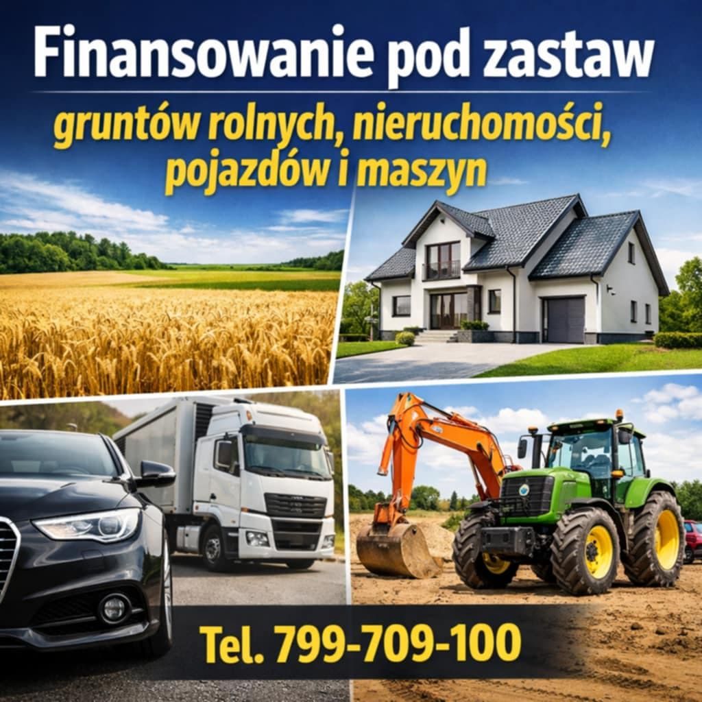 Szybkie finansowanie pod zastaw - sprawdzone rozwiązanie Poznań - Zdjęcie 1