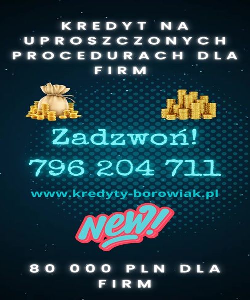KREDYT DLA FIRM DO 80 000 PLN NAWET PRZY STRACIE! Poznań - Zdjęcie 1