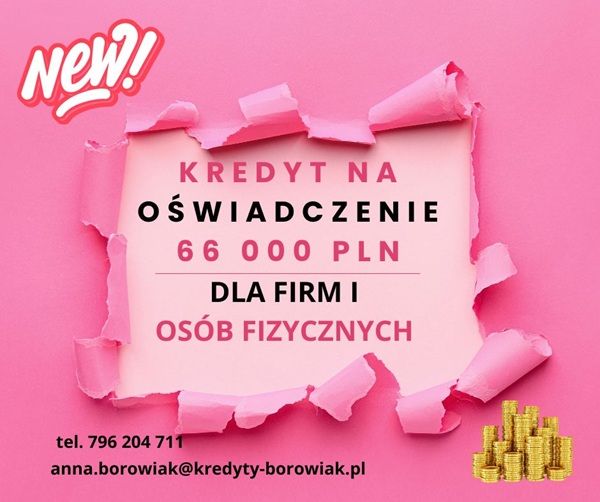KREDYT DLA FIRM I OSÓB FIZYCZNYCH NA OŚWIADCZENIE – DO 66 000 ZŁ! Poznań - Zdjęcie 1