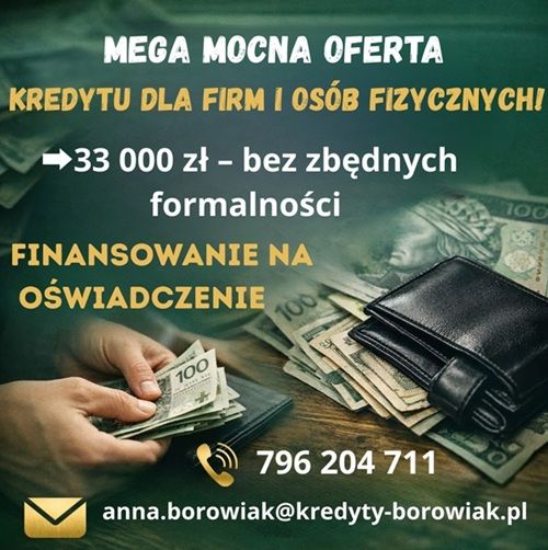 KREDYT DLA FIRM DO 200 000 PLN NA UPROSZCZONYCH ZASADACH! Poznań - Zdjęcie 1