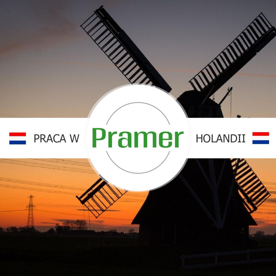 Pracownik produkcji filetów z kurczaka  - praca w Holandii  - Zdjęcie 1