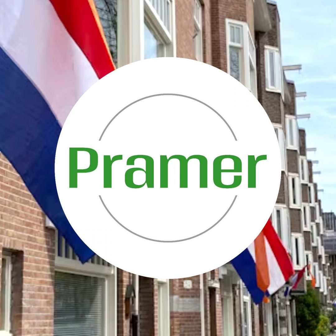 Produkcja kurczaków - bez języka - praca w Holandii  - Zdjęcie 1