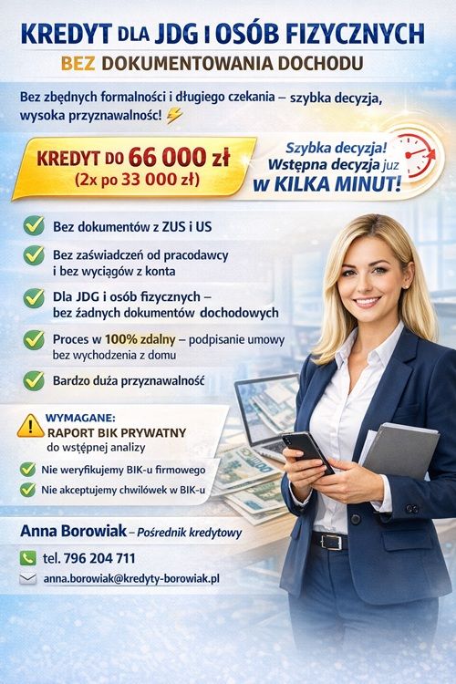 KREDYT DLA JDG I OSÓB FIZYCZNYCH BEZ DOKUMENTOWANIA DOCHODU! Poznań - Zdjęcie 1