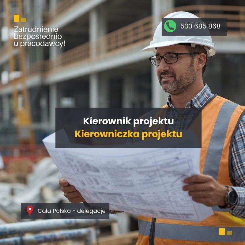 Kierownik Projektu (m/k) Poznań - Zdjęcie 1