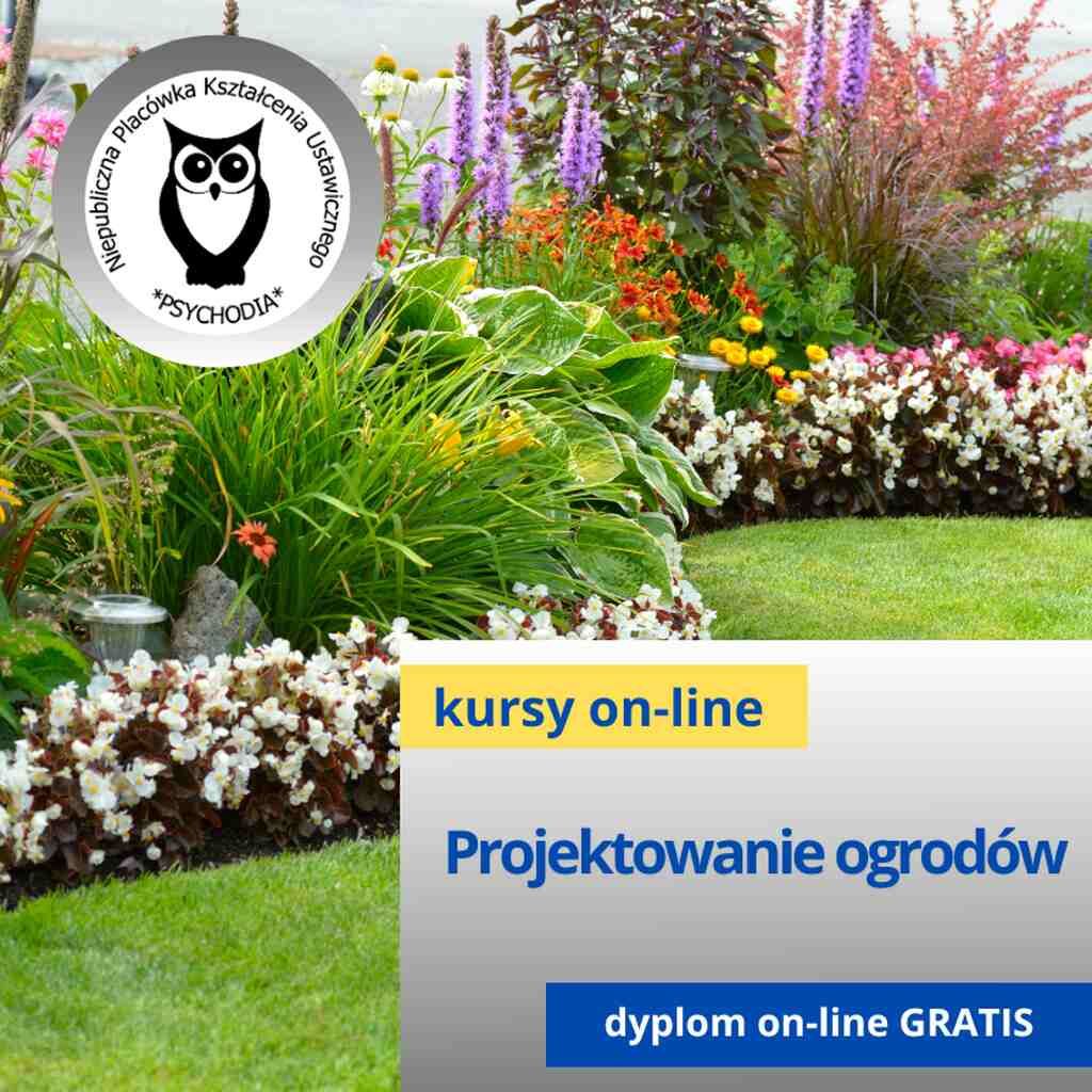 Projektowanie ogrodów Poznań - Zdjęcie 1
